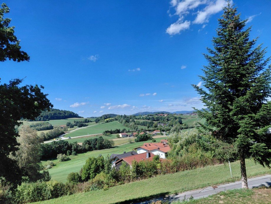 Aussicht Eingangsbereich Terrassenwohnung Waldkirchen